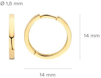 Blush Blush Oorbellen 7308YGO 14k Geelgoud Vlak 1.5mm x 14mm Divers