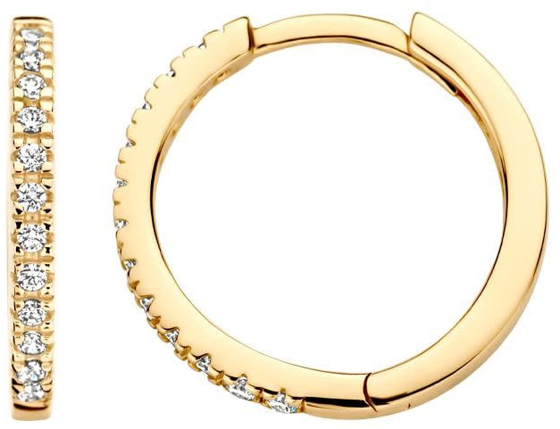 Blush Blush Oorbellen 7309YZI Oorringen 14k Geelgoud met Briljant geslepen Zirkonia 1.5mm x 14mm Divers