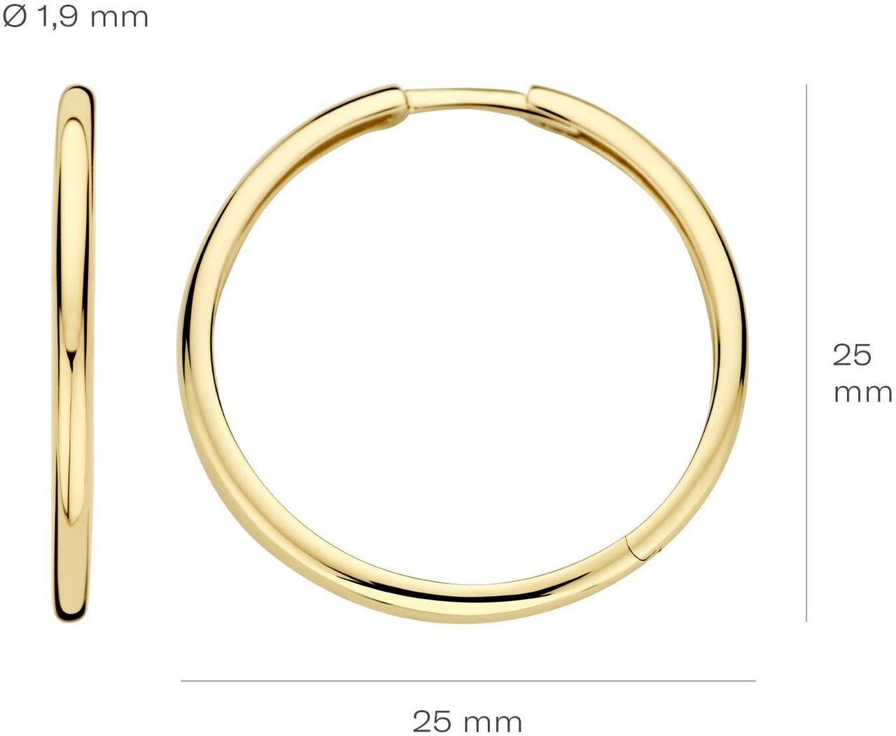 Blush Blush Oorbellen 7311YGO Oorringen 14k Geelgoud 1.9mm x 25mm Divers