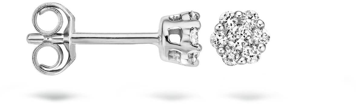 Blush Blush Oorbellen 7604WDI 14k Witgoud 0,22crt G SI Briljant geslepen Diamant Zilver