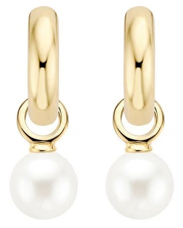 Blush 9046YPW Oorbelbedels 14 krt geelgoud met Swarovski parel Goud