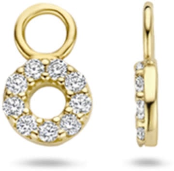 Blush Blush Oorbedel 9065YZI 14k Geelgoud Circle met zirkonia Divers