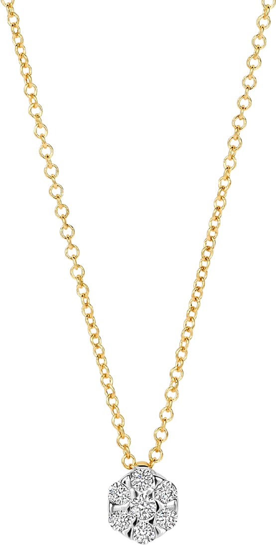 Blush - Ketting - Goud Goud