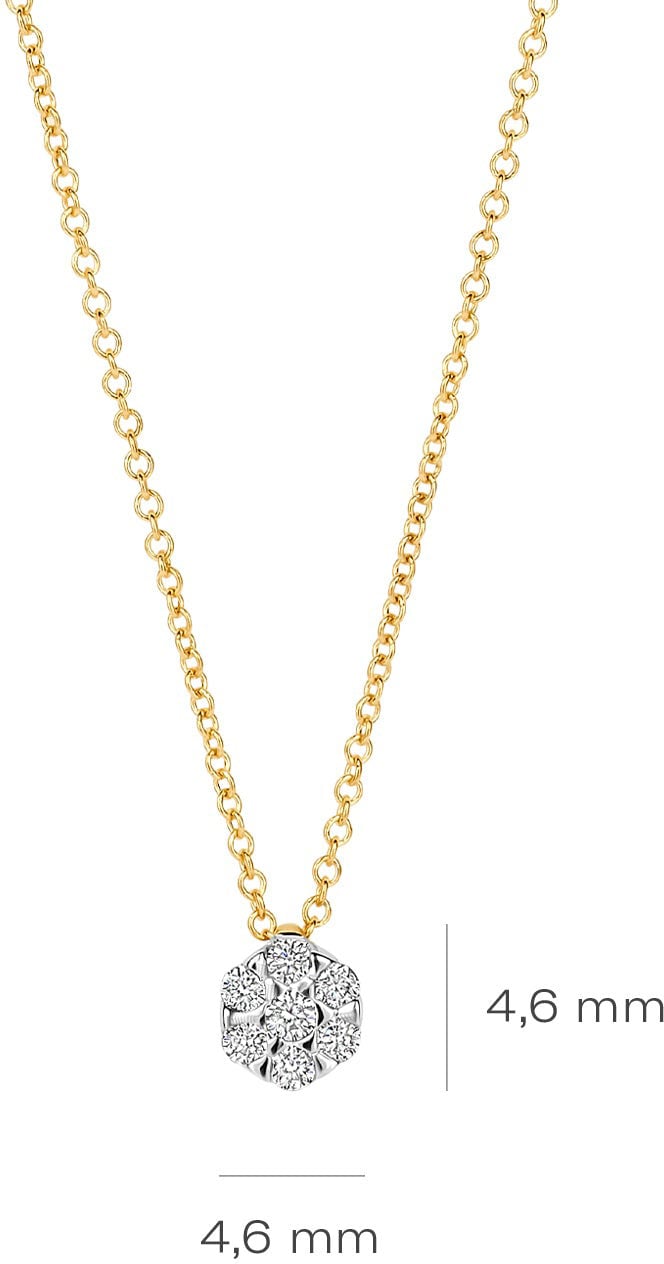 Blush - Ketting - Goud Goud