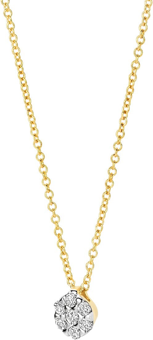 Blush - Ketting - Goud Goud