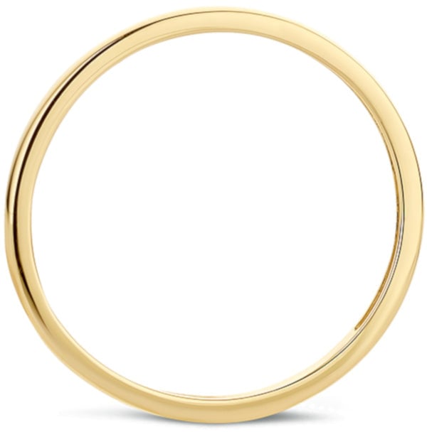 Blush - Ring - Goud Goud