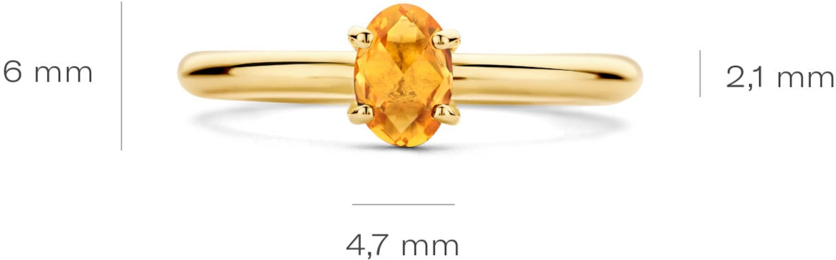Blush - Ring - Goud Goud