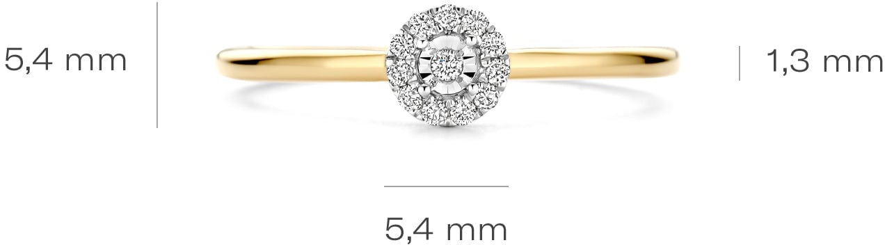 Blush - Ring - Goud Goud
