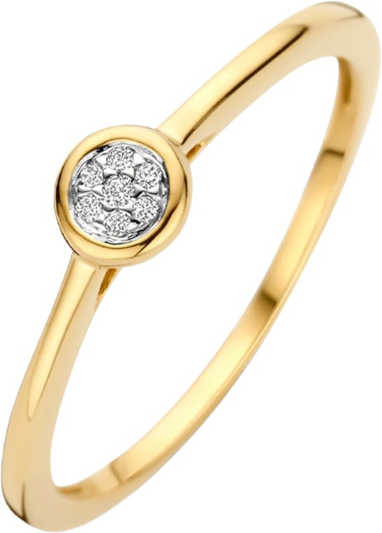 Blush - Ring - Goud Goud