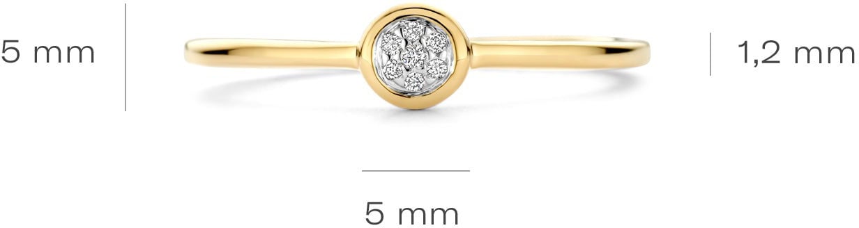 Blush - Ring - Goud Goud