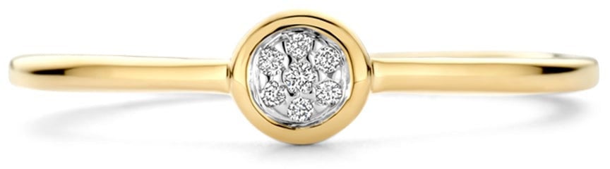 Blush - Ring - Goud Goud