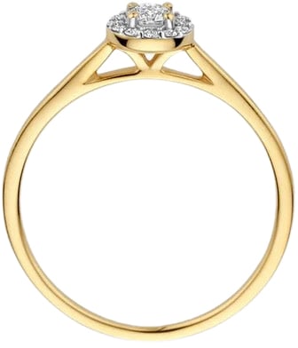 Blush Blush Ring LG1023Y/54 14k Geelgoud met 0,13crt en 0,09crt H SI Briljant geslepen Lab Grown Diamant Maat 54 Divers