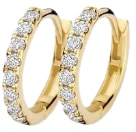 Blush Blush Oorbellen LG7029Y 14k Geelgoud 0.24crt H SI Briljant geslepen Labgrown Diamant 1.8mm x 12.5mm Divers