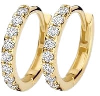 Blush Blush Oorbellen LG7029Y 14k Geelgoud 0.24crt H SI Briljant geslepen Labgrown Diamant 1.8mm x 12.5mm Divers