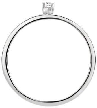 Blush Blush Ring 1200WZI/54 14k Witgoud met Zirkonia Maat 54 Zilver
