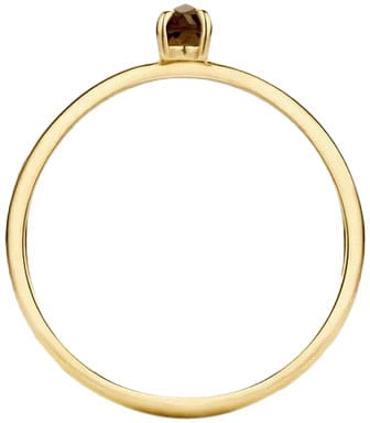 Blush Blush Ring 1204YSQ/54 14k Geelgoud met Smokey Quartz Maat 54 Goud