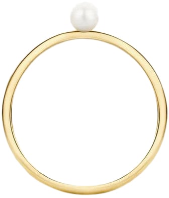 Blush Blush Ring 1213YPW/54 14k Geelgoud met Parel Maat 54 Goud