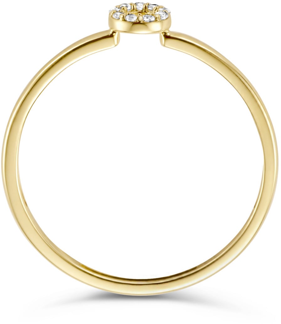 Blush Blush Ring 1217YZI/52 14k Geelgoud Cirkel Gezet met Zirkonia Maat 52 Goud