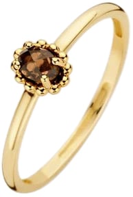 Blush Blush Ring 1227YSQ/54 14k Geelgoud met Smokey Quartz Maat 54 Goud