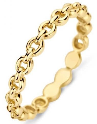 Blush Blush Ring 1246YGO/54 14k Geelgoud Link Maat 54 Goud