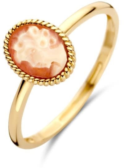 Blush Blush Ring 1250YCA/54 14k Geelgoud Camee Maat 54 Goud