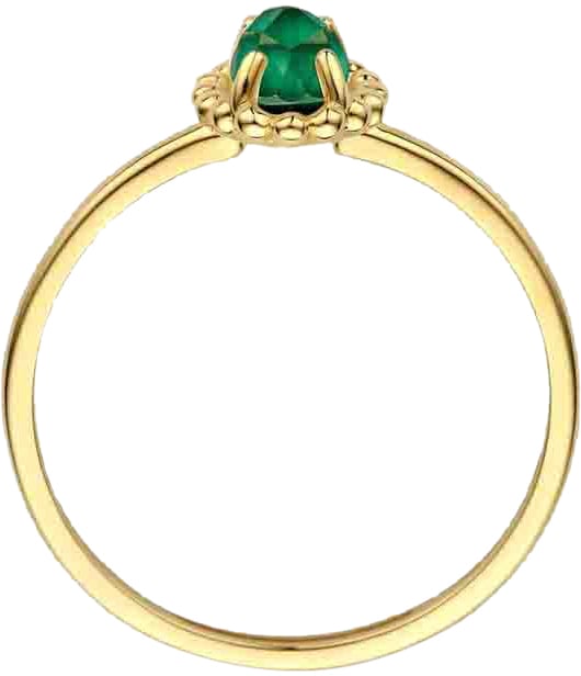 Blush Blush Ring 1272YMA/54 14k Geelgoud met Malachiet Maat 54 Goud