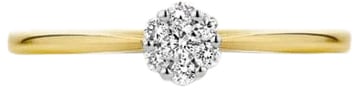 Blush Blush Ring 1610BDI/54 14k Geelgoud 0.11crt G SI Briljant geslepen Diamant Maat 54 Goud