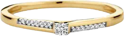 Blush Blush Ring 1639YDI/54 14k Geelgoud 0,10crt G SI Briljant geslepen Diamant Maat 54 Goud