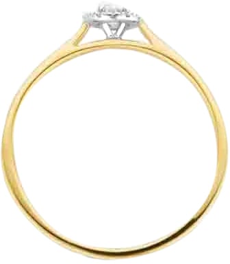 Blush Blush Ring 1648BDI/54 14k Geelgoud 0,15crt G SI Briljant geslepen Diamant Maat 54 Goud