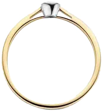 Blush Blush Ring 1653BDI/54 14kt Geelgoud 0,06crt G SI Briljant geslepen Diamant Maat 54 Goud