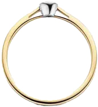 Blush Blush Ring 1653BDI/54 14kt Geelgoud 0,06crt G SI Briljant geslepen Diamant Maat 54 Goud