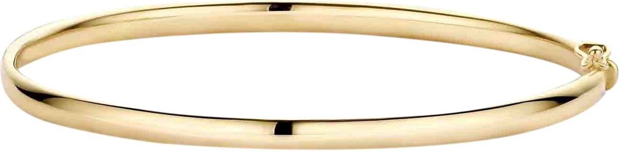 Blush Blush Armband 2155YGO Bangle 14k Geelgoud 4mm Maat 60 Goud