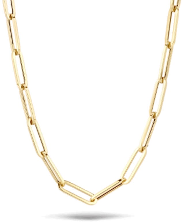 Blush Blush Collier 3130YGO 14k Geelgoud met Closed Forever Schakel 45cm Goud
