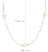 Blush Blush Collier 3185YPW 14k Geelgoud met Parels 42cm Goud
