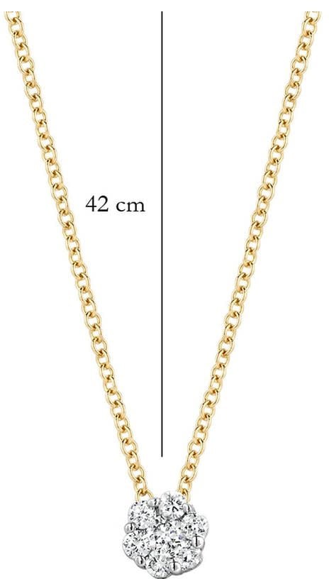 Blush Blush Collier 3602BDI 14k Geelgoud 0,07crt G SI Biljant geslepen Diamant Goud