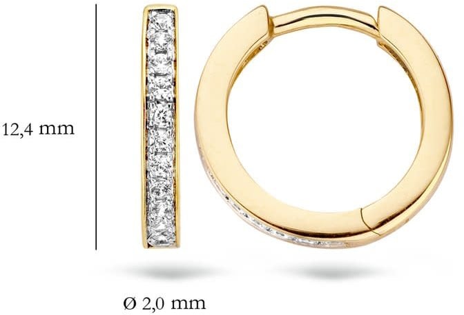 Blush 7163BZI Oorbellen 14 krt geelgoud met zirkonia Goud