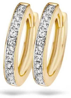 Blush 7163BZI Oorbellen 14 krt geelgoud met zirkonia Goud