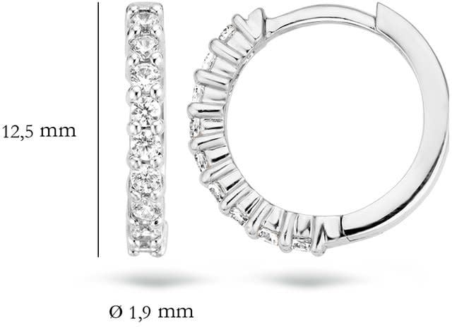 Blush 7166WZI Oorbellen 14 krt witgoud met zirkonia Zilver