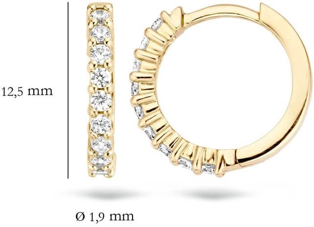 Blush 7166YZI Oorbellen 14 krt geelgoud met zirkonia Goud