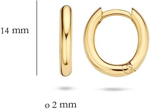 Blush Blush Oorbellen 7217YGO 14k Geelgoud Glad Ovaal 2mm x 14mm Goud