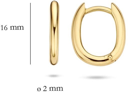 Blush Blush Oorbellen 7218YGO Oorringen 14kr Geelgoud Glad Ovaal Bol 2mm x 16mm Goud