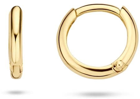 Blush 7221YGO Oorbellen 14 krt geelgoud Goud