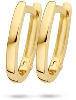 Blush 7224YGO Oorbellen 14 krt geelgoud Goud