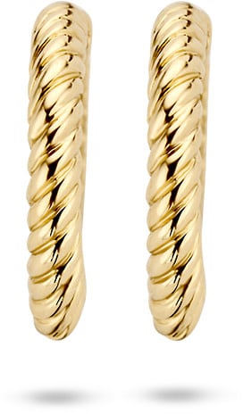 Blush 7231YGO Oorbellen creolen 14 krt Goud Goud