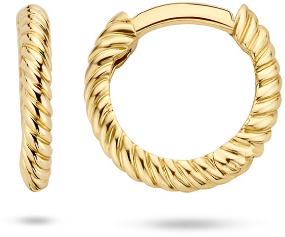 Blush 7231YGO Oorbellen creolen 14 krt Goud Goud