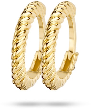 Blush 7231YGO Oorbellen creolen 14 krt Goud Goud