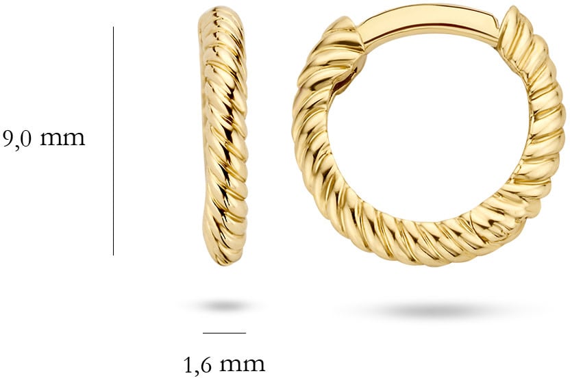 Blush 7231YGO Oorbellen creolen 14 krt Goud Goud