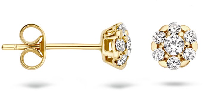 Blush Blush Oorbellen 7241YZI Oorstekers 14k Geelgoud met Briljant geslepen Zirkonia Goud