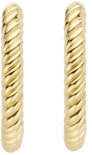 Blush Blush Oorbellen 7266YGO 14k Geelgoud met Ribbel Motief Goud