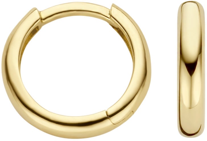 Blush Blush Oorbellen 7267YGO 14k Geelgoud Glad Goud